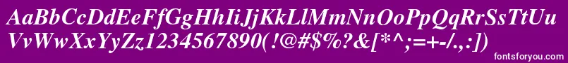 TimesBolditalic Font – White Fonts on Purple Background