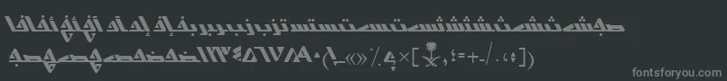 フォントAymShurooq14 – 黒い背景に灰色の文字