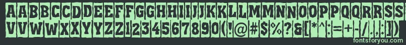 Assua11 Font – Green Fonts on Black Background