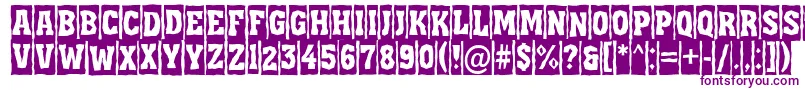 Assua11 Font – Purple Fonts on White Background