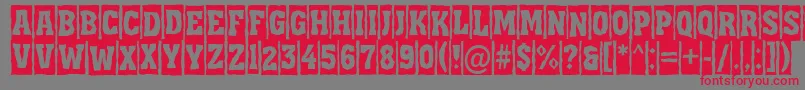 Assua11 Font – Red Fonts on Gray Background