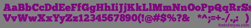 フォントChunkFivePrint – 紫色のフォント、灰色の背景