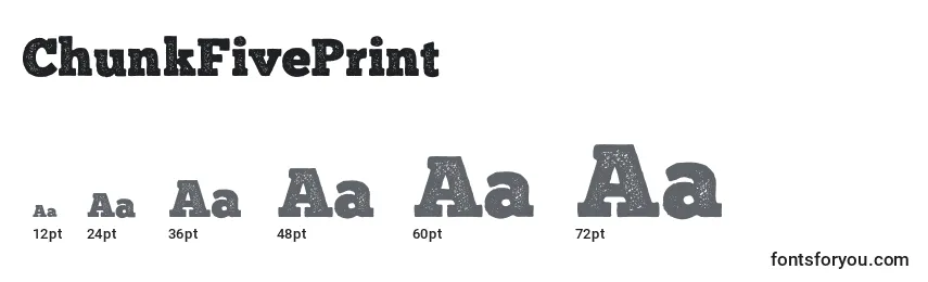 ChunkFivePrint Font Sizes