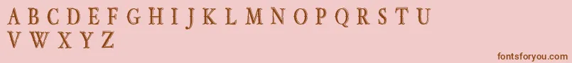 OldBobDemoJunior Font – Brown Fonts on Pink Background