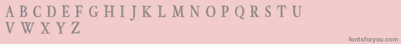 OldBobDemoJunior Font – Gray Fonts on Pink Background