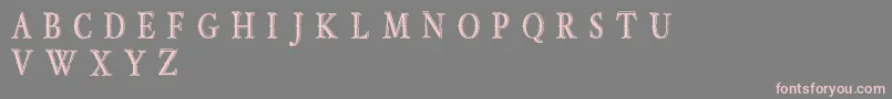 OldBobDemoJunior Font – Pink Fonts on Gray Background