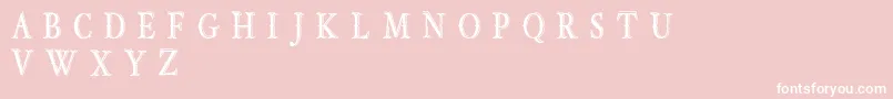 OldBobDemoJunior Font – White Fonts on Pink Background