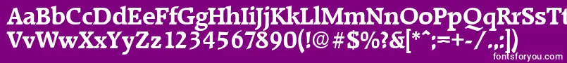 フォントRaleighDemibold – 紫の背景に白い文字