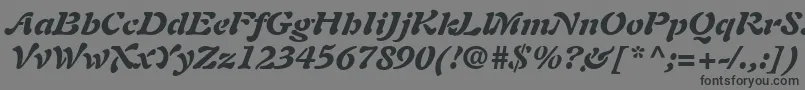 フォントPaletteBlackSsiBlackItalic – 黒い文字の灰色の背景