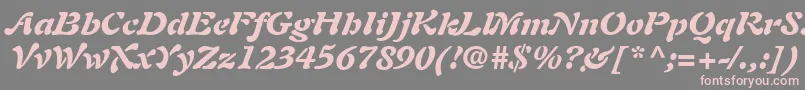 PaletteBlackSsiBlackItalic-Schriftart – Rosa Schriften auf grauem Hintergrund