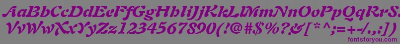 PaletteBlackSsiBlackItalic Font – Purple Fonts on Gray Background