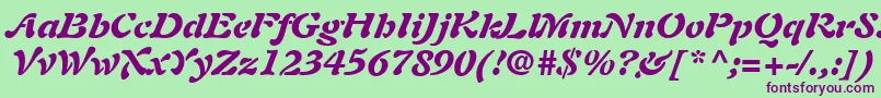 PaletteBlackSsiBlackItalic Font – Purple Fonts on Green Background