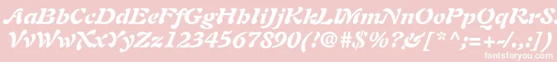 Шрифт PaletteBlackSsiBlackItalic – белые шрифты на розовом фоне