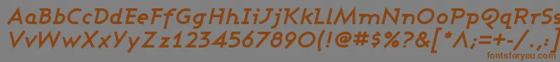 AshbyBoldItalic Font – Brown Fonts on Gray Background