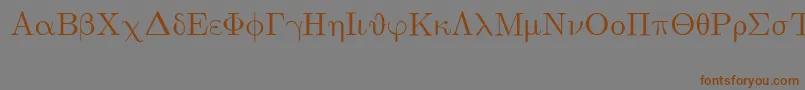 EuclidSymbol Font – Brown Fonts on Gray Background