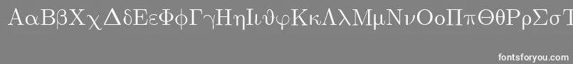Weitere Informationen zur EuclidSymbol-Schriftart EuclidSymbol-Schriftart – Weiße Schriften auf grauem Hintergrund