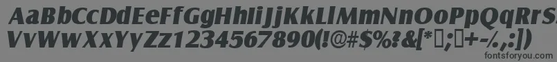 NautodisplaysskItalic Font – Black Fonts on Gray Background