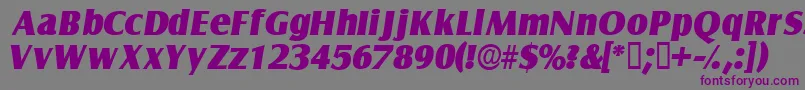 NautodisplaysskItalic Font – Purple Fonts on Gray Background