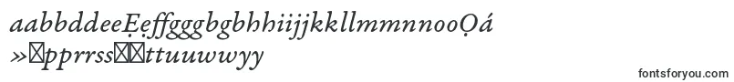 Weitere Informationen zur GaramondpremrproItcapt-Schriftart GaramondpremrproItcapt-Schriftart – yoruba Schriften