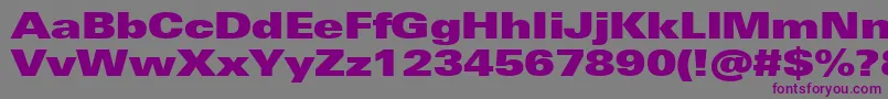 フォントUniversNextProExtrablackExtended – 紫色のフォント、灰色の背景