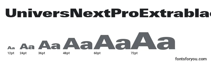 UniversNextProExtrablackExtended Font Sizes