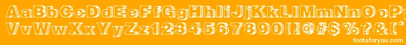 BigDesigner Font – White Fonts on Orange Background