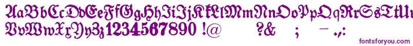 Шрифт Gotyk – фиолетовые шрифты на белом фоне