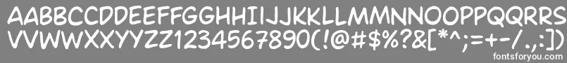 AmesRegular Font – White Fonts on Gray Background