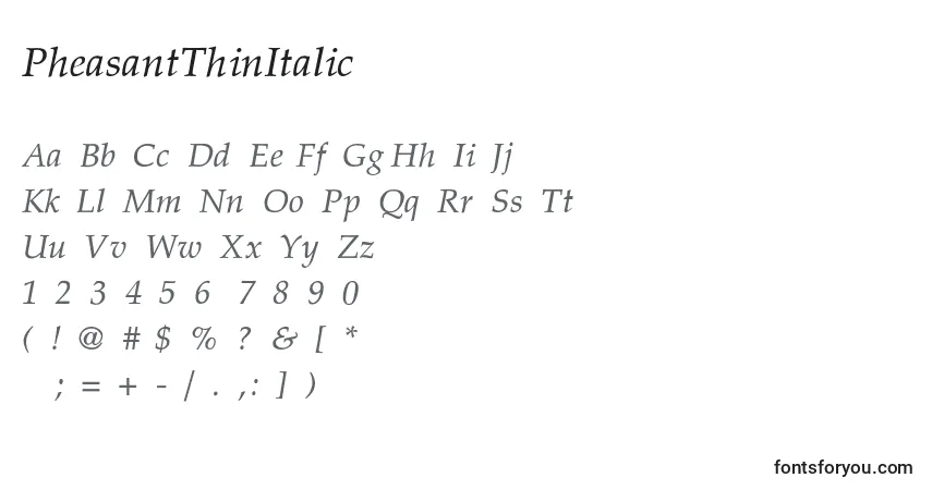 Schriftart PheasantThinItalic – Alphabet, Zahlen, spezielle Symbole