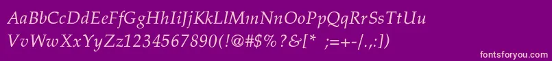 PheasantThinItalic Font – Pink Fonts on Purple Background