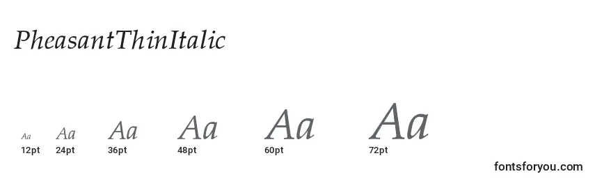 PheasantThinItalic Font Sizes