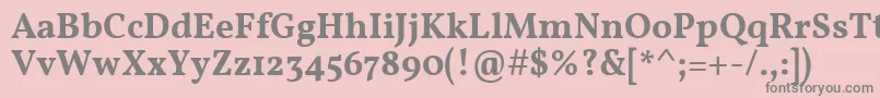 VollkornSemibold Font – Gray Fonts on Pink Background