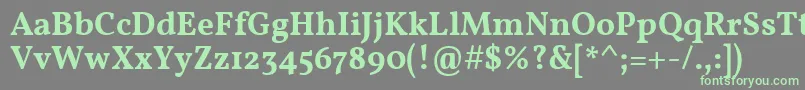 フォントVollkornSemibold – 灰色の背景に緑のフォント