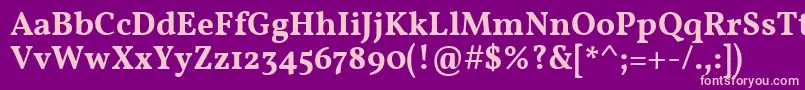 VollkornSemibold Font – Pink Fonts on Purple Background