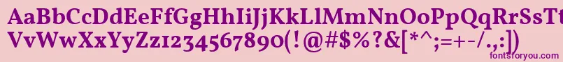 VollkornSemibold Font – Purple Fonts on Pink Background