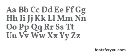 Review of the VollkornSemibold Font