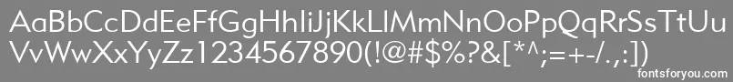 フォントMetroliteLtTwo – 灰色の背景に白い文字