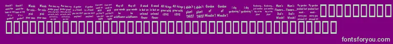 KrGardenz Font – Green Fonts on Purple Background