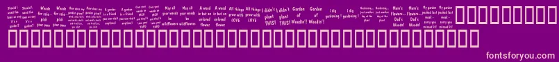 KrGardenz Font – Pink Fonts on Purple Background