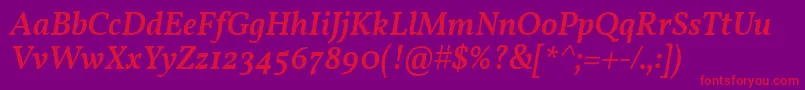 VollkornMediumItalic Font – Red Fonts on Purple Background