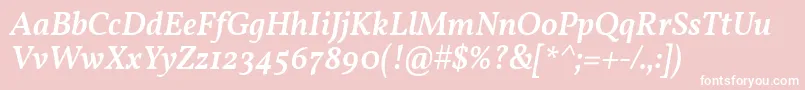 VollkornMediumItalic Font – White Fonts on Pink Background