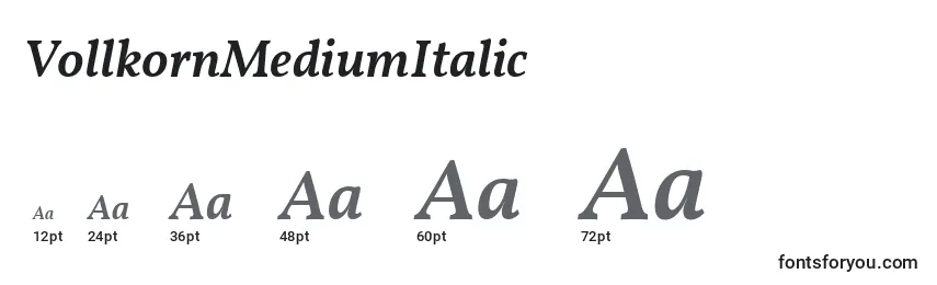Размеры шрифта VollkornMediumItalic