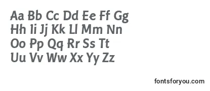 LinotypePisaBold Font