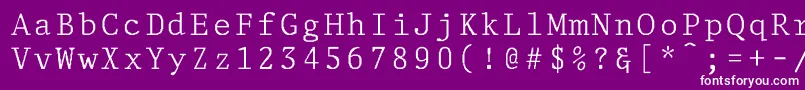 DelegateNormal Font – White Fonts on Purple Background