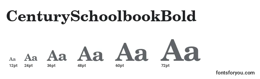 Размеры шрифта CenturySchoolbookBold