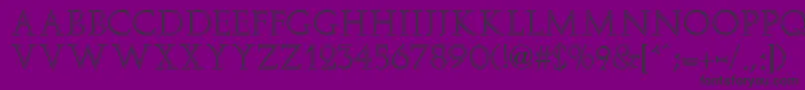 ElizaFaciaRegular Font – Black Fonts on Purple Background