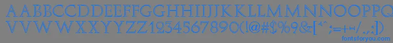 ElizaFaciaRegular Font – Blue Fonts on Gray Background