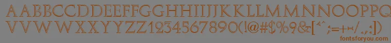 ElizaFaciaRegular Font – Brown Fonts on Gray Background