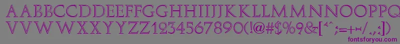ElizaFaciaRegular Font – Purple Fonts on Gray Background