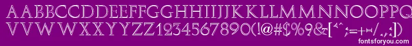 ElizaFaciaRegular Font – White Fonts on Purple Background